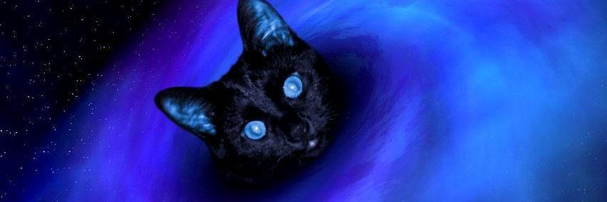AgentTer's profile banner image