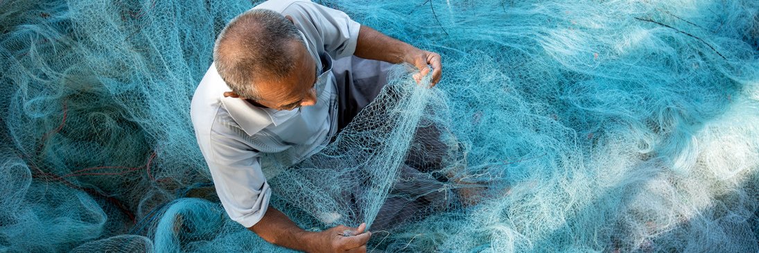 Sustainable Fisheries Partnership banner