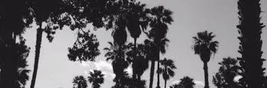 __ultraviolent_'s profile banner image