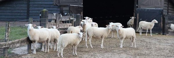 cdaermelo Profile Banner