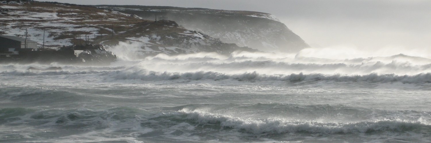 Eugene G. Manning banner