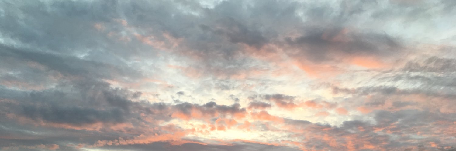 lissadiv's profile banner image