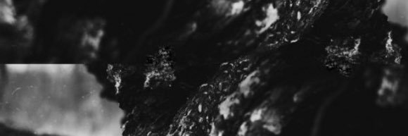 grantborland's profile banner image