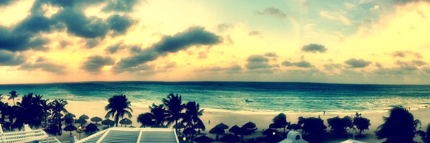 mwt333's profile banner image