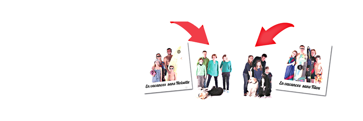 AnimalFute's profile banner image