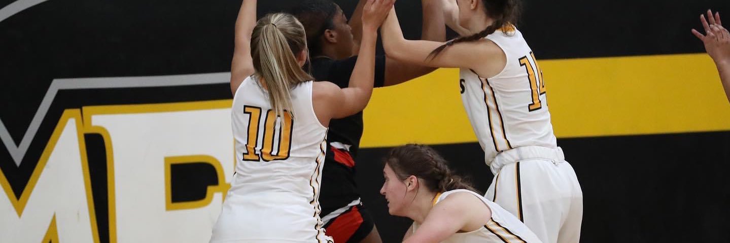 ava eichler banner