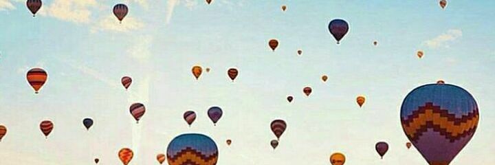 Anna Rizik Frugis banner