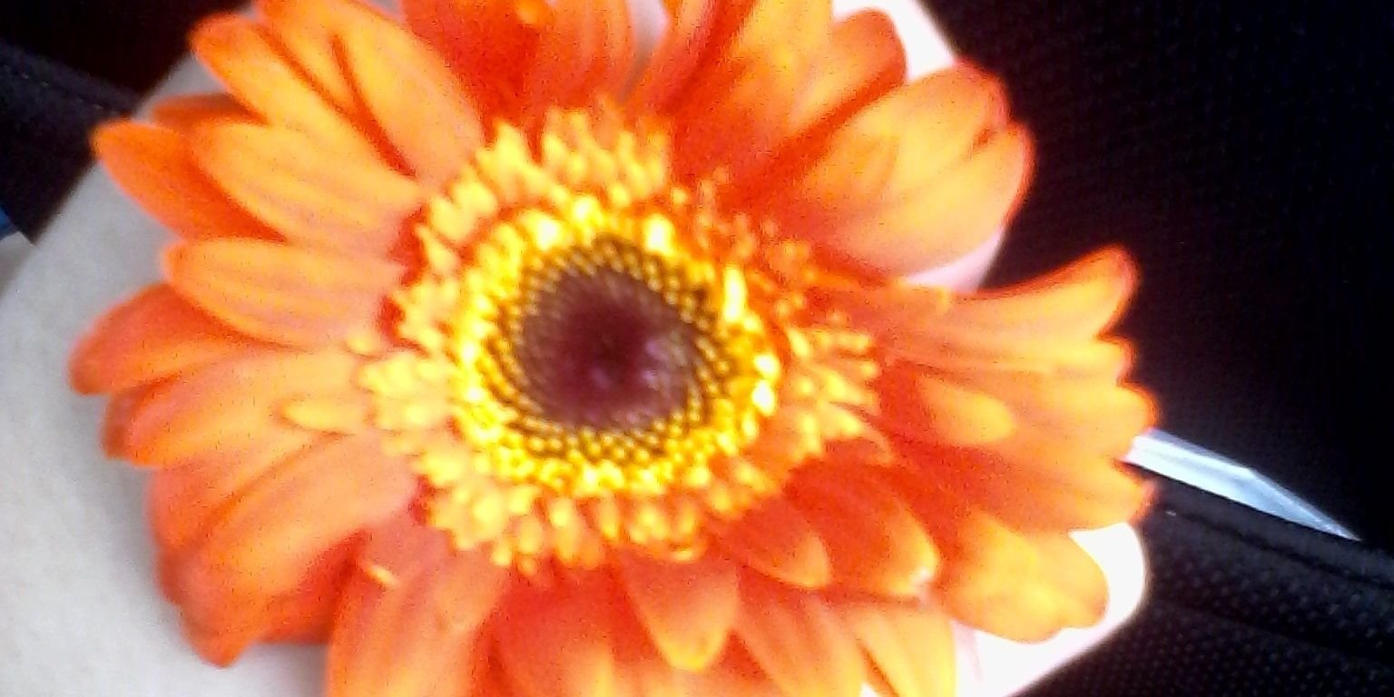 Russ_Sequera's profile banner image