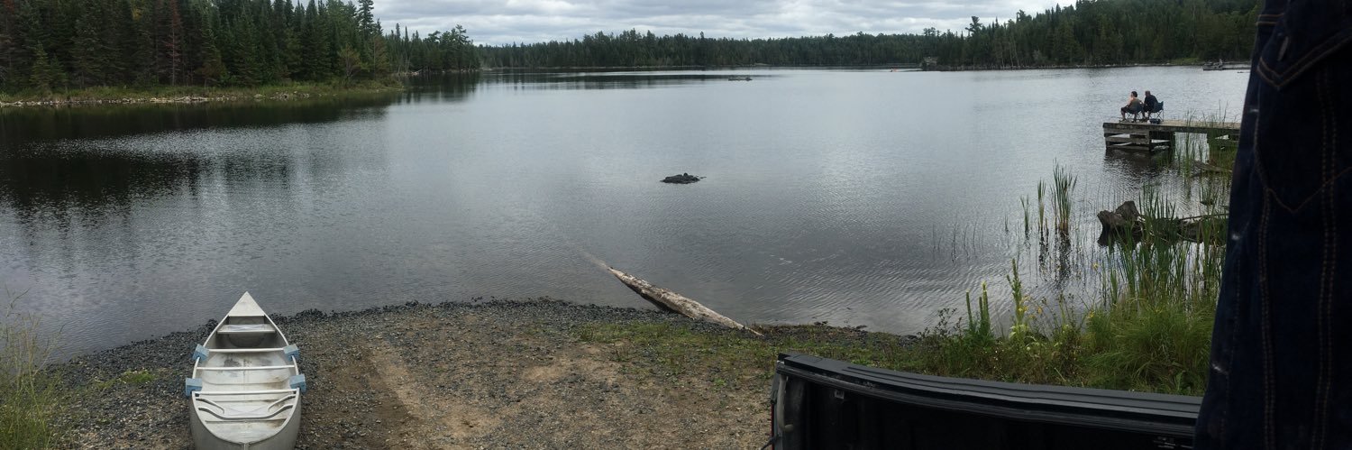 Alyssa Spring banner