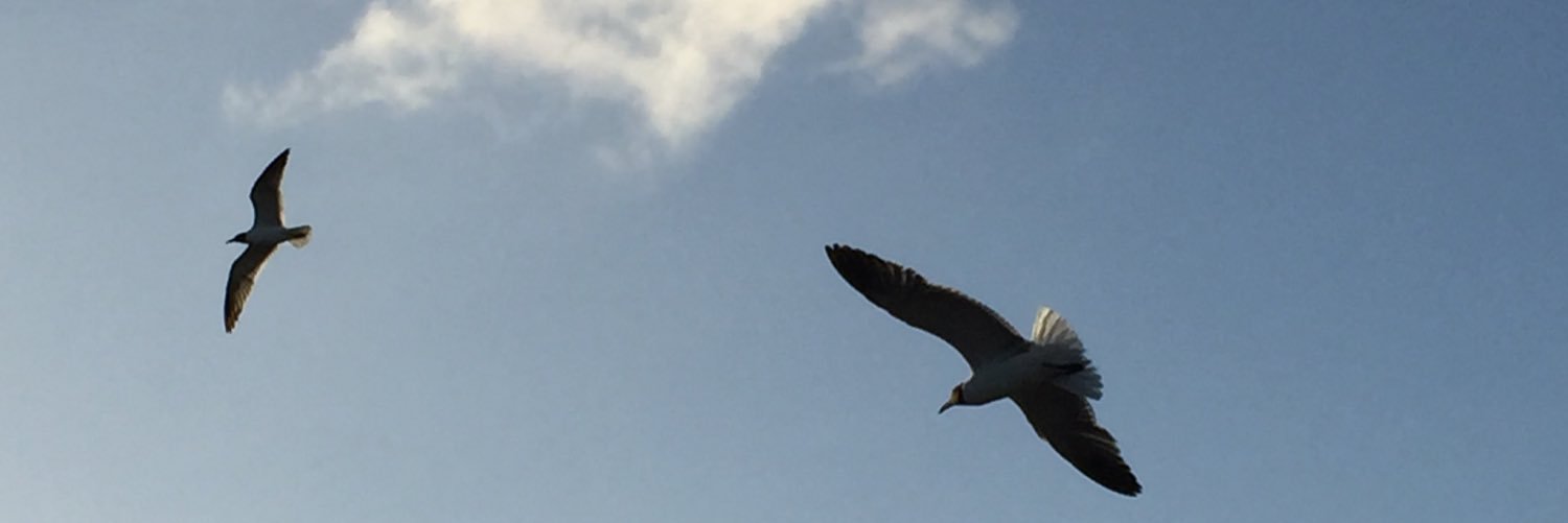 Vourcos's profile banner image