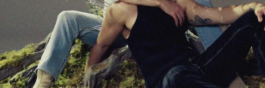 babylouiswt's profile banner image