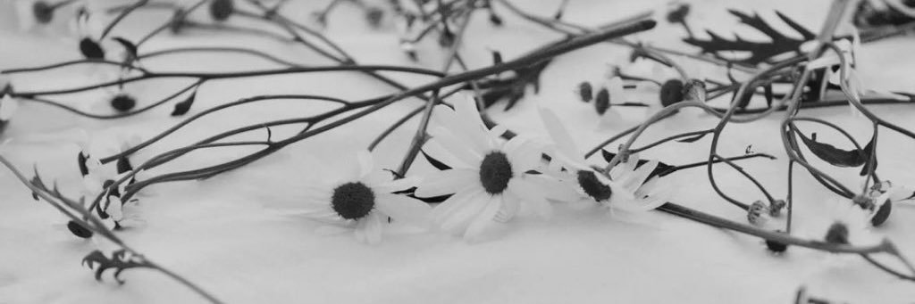 kiniii's profile banner image