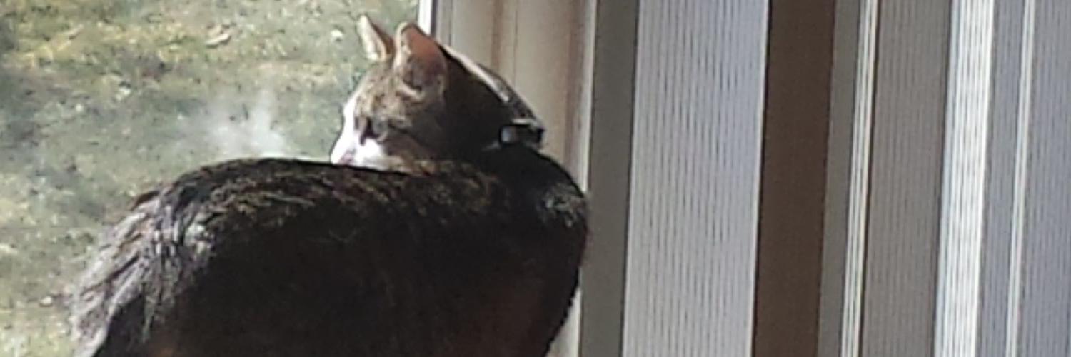 Rebecca H banner