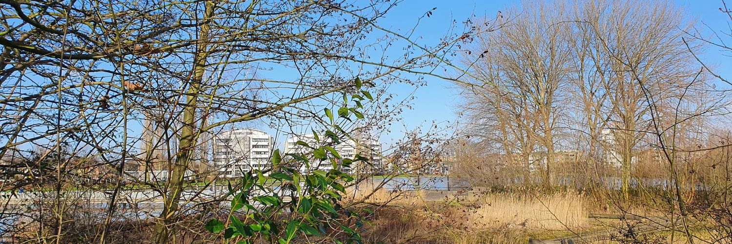 Noëlle Sanders banner