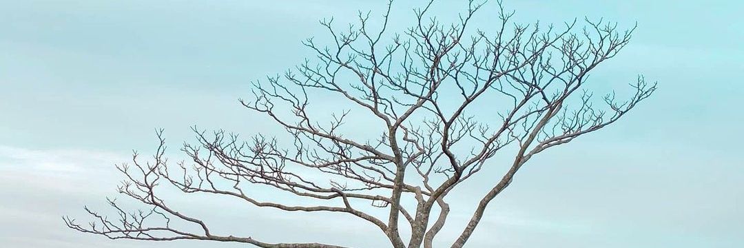tiulala_'s profile banner image