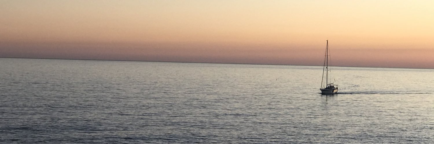 laosdi's profile banner image