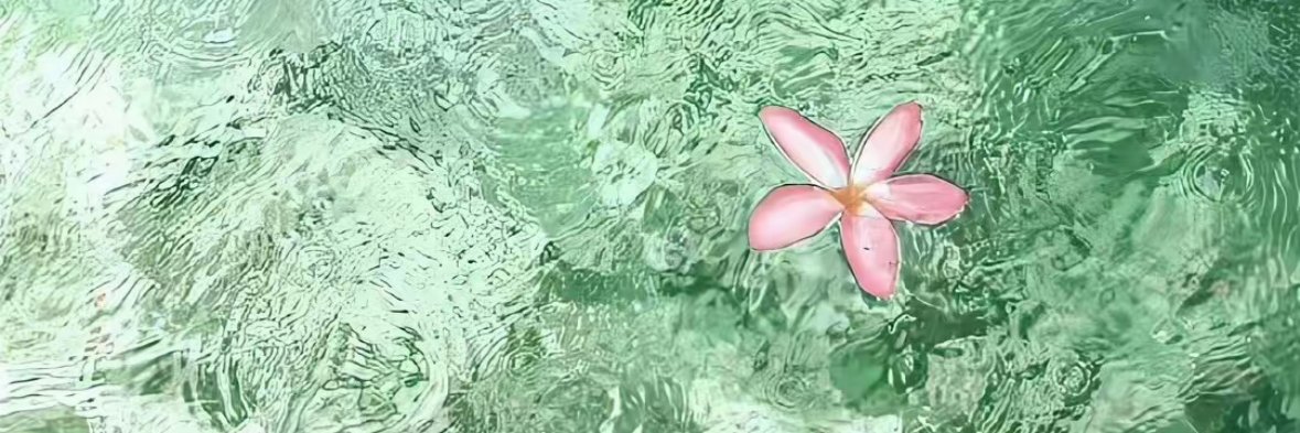 erickpilladasil's profile banner image