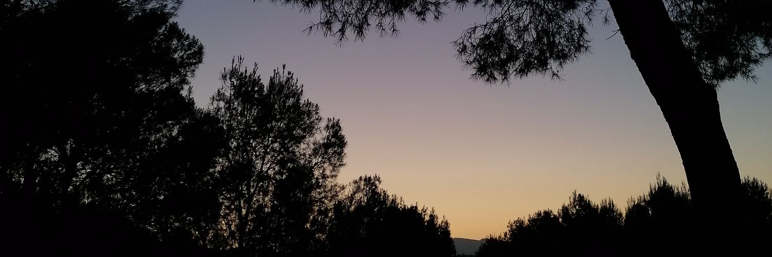 martavarea98's profile banner image