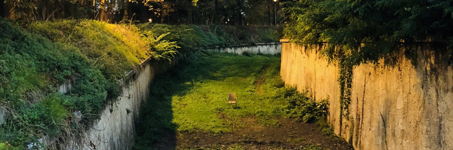 Francesco Andreoli banner