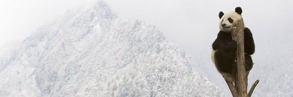 idapaseh's profile banner image