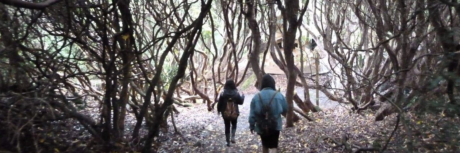 jadegreyul's profile banner image