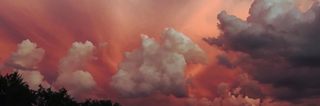 EmLuvsKanter's profile banner image