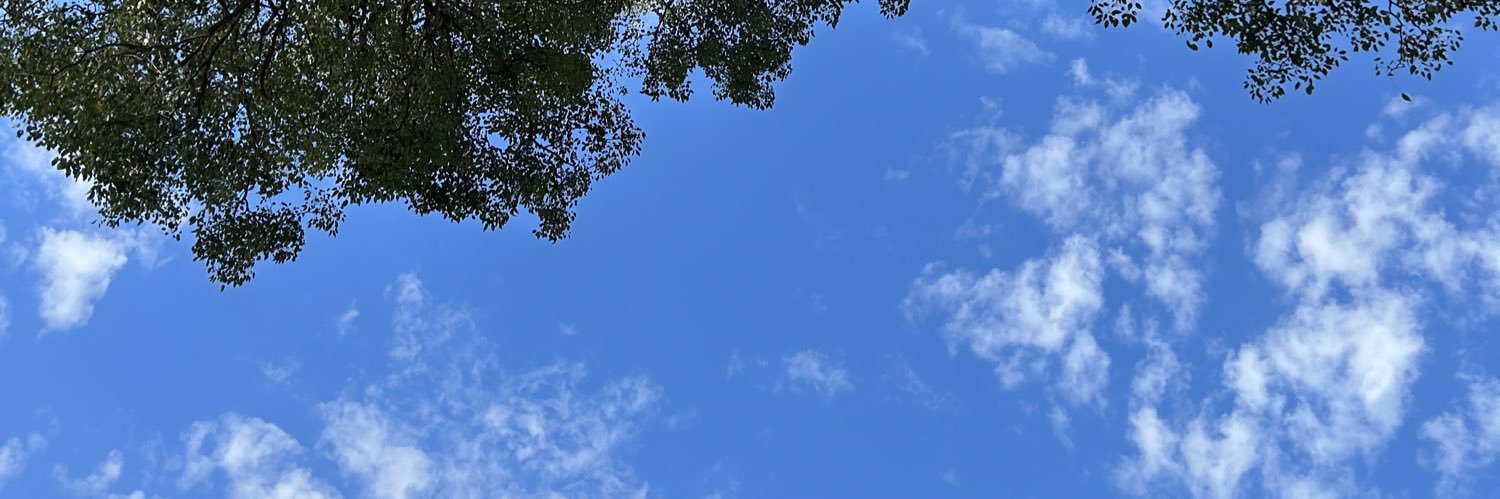 suhermosilla's profile banner image