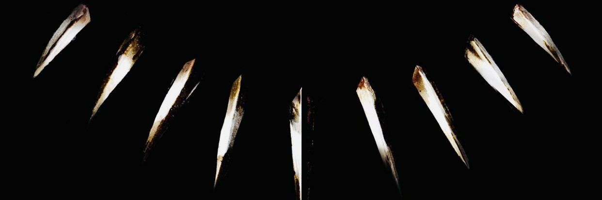 Tamezz17's profile banner image