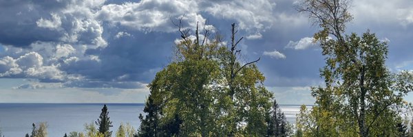 SusanKentMN Profile Banner