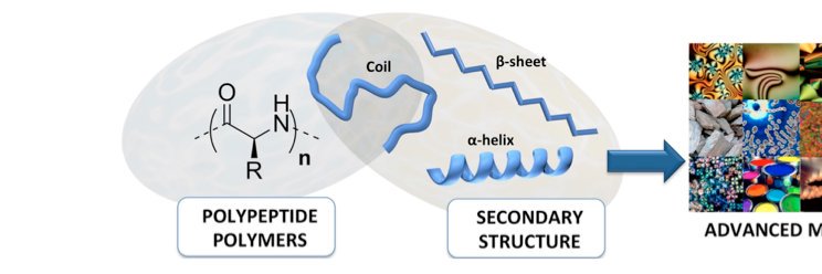 Colin Bonduelle banner