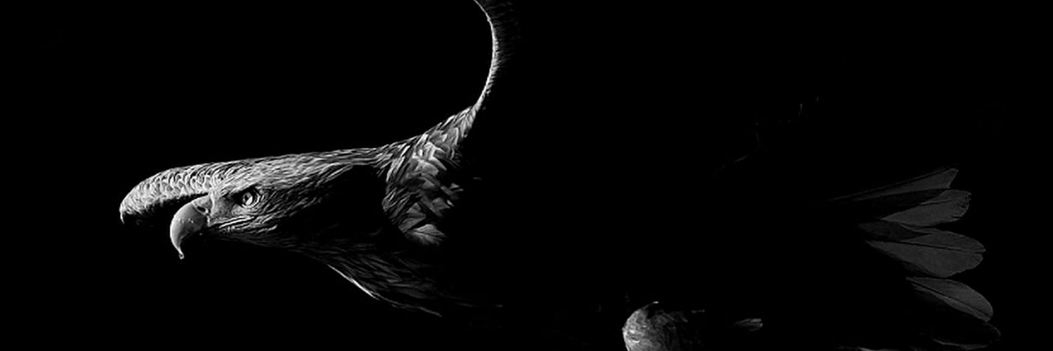 Hazalyus's profile banner image