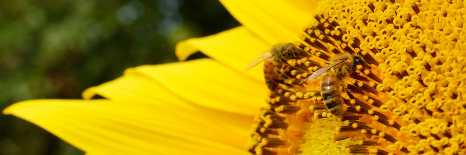 facometepare_'s profile banner image