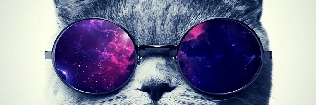 ReyyNiFox banner