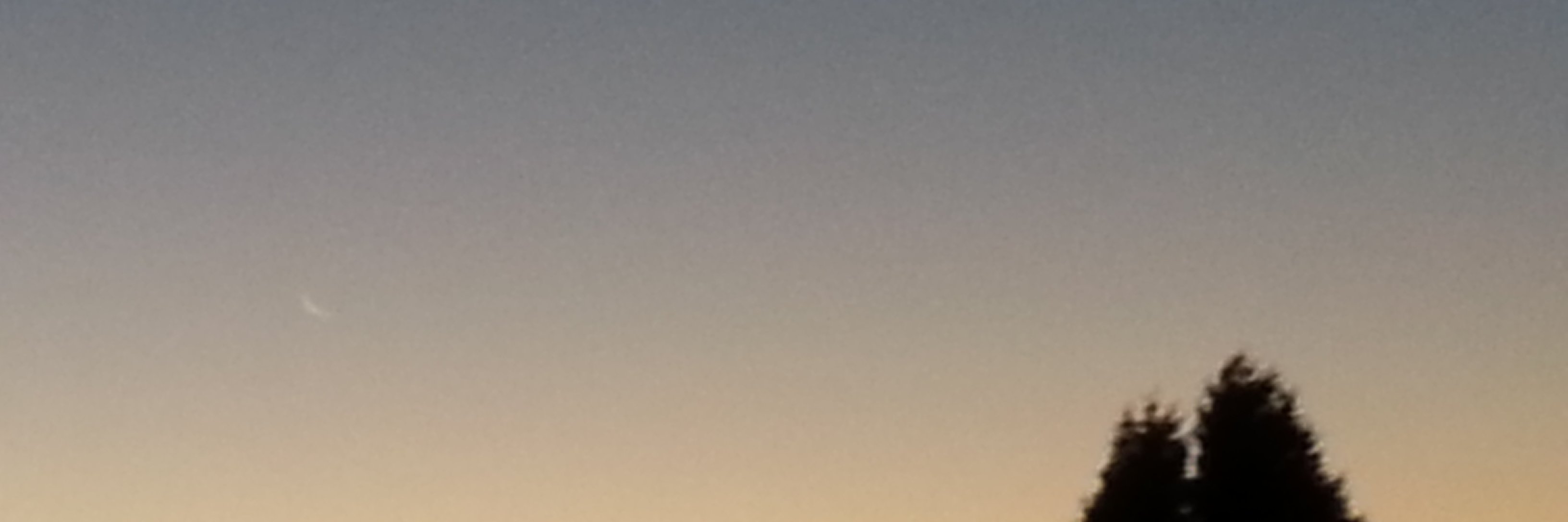ef4ort's profile banner image