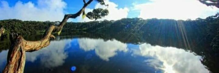 FemiWS's profile banner image