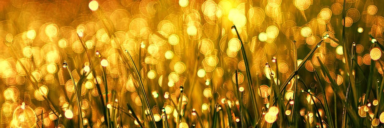 ecosystemevalu1's profile banner image
