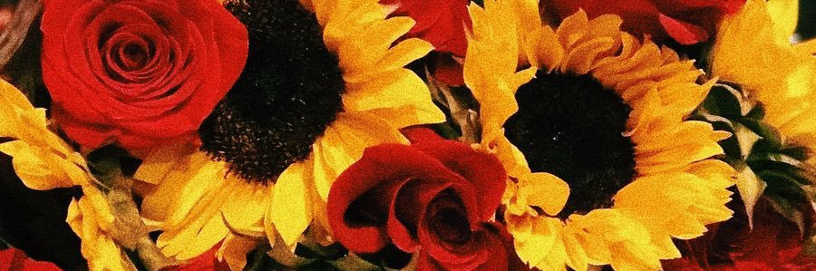 lorefuster's profile banner image