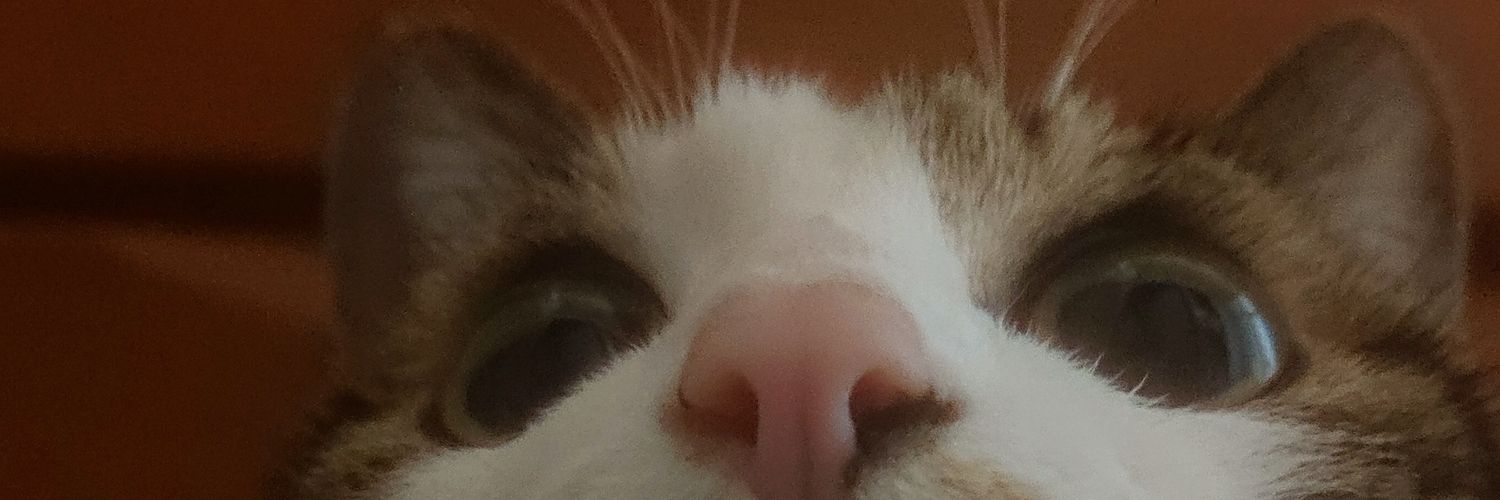 良牙さまのいいなずけ banner