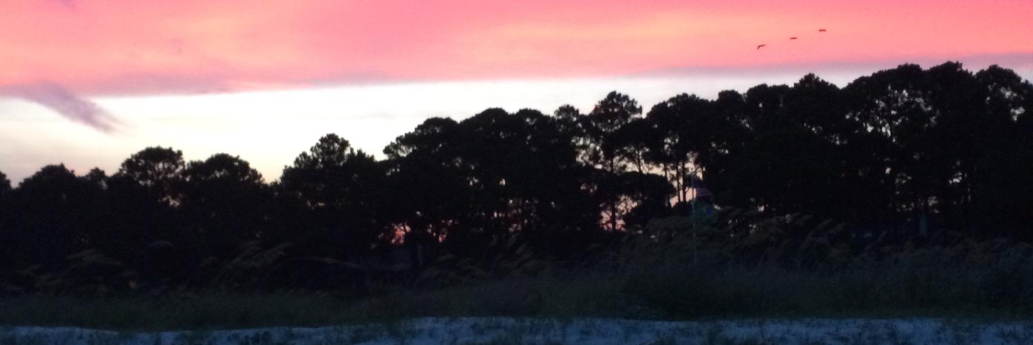 hiltonhead10's profile banner image