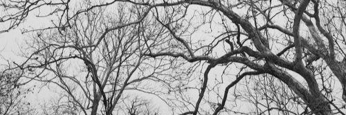 vogliomalik's profile banner image