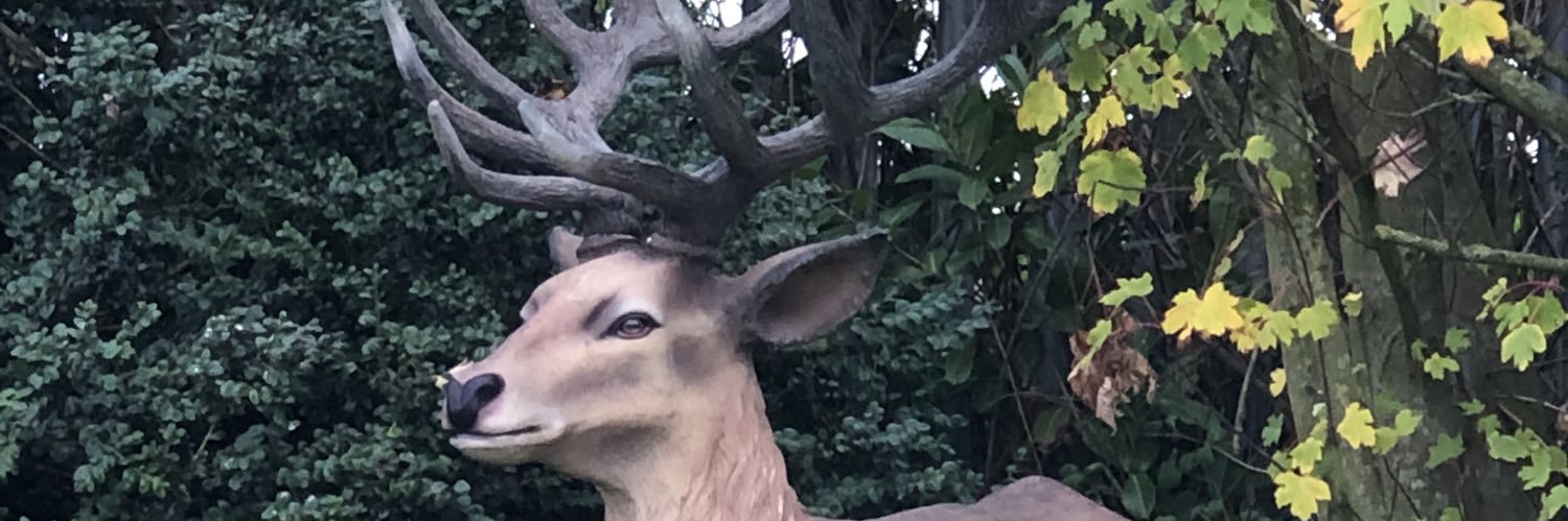 detoxdylan's profile banner image