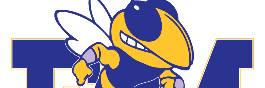 Fort Mill Cross Country banner
