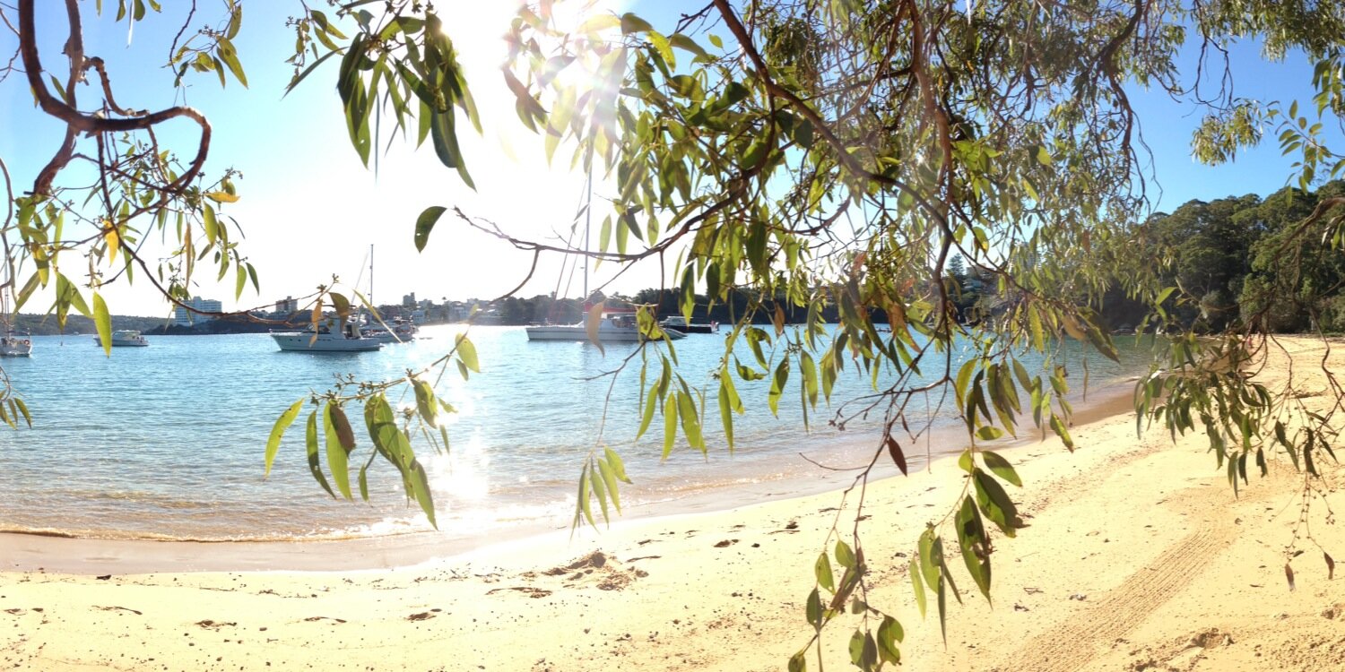 Victor Max Power banner