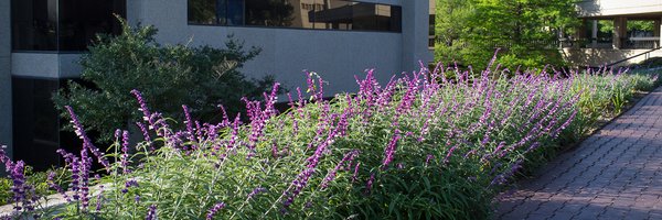 UTSWGastroHep Profile Banner