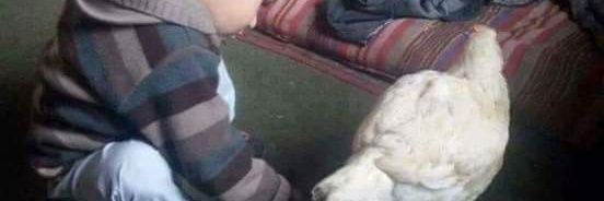 Jamal55310689's profile banner image