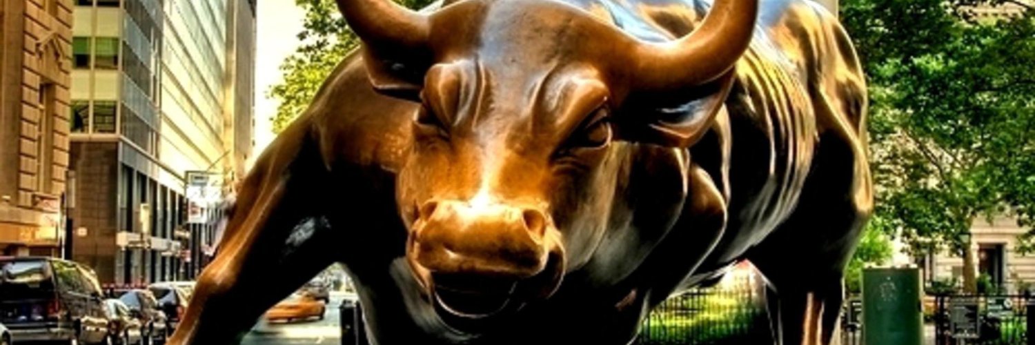 BullTurf's profile banner image