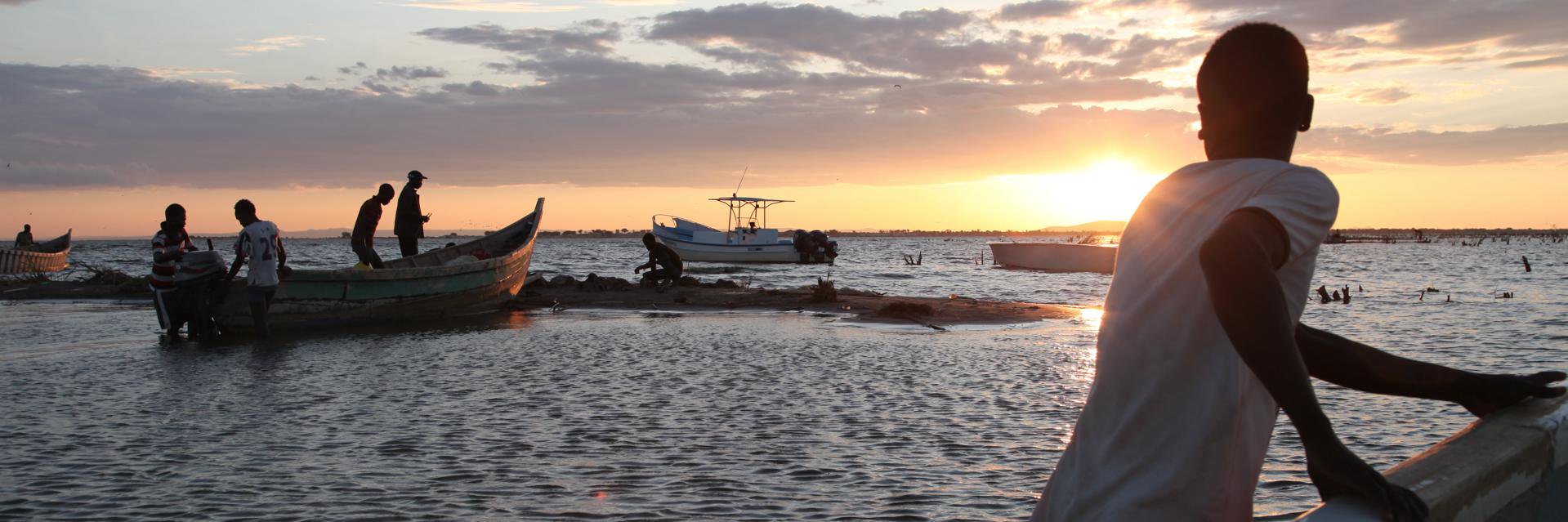 Emily H. Johnson banner