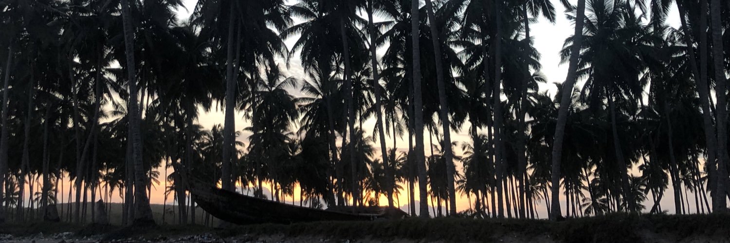 AlliKlusmeyer's profile banner image