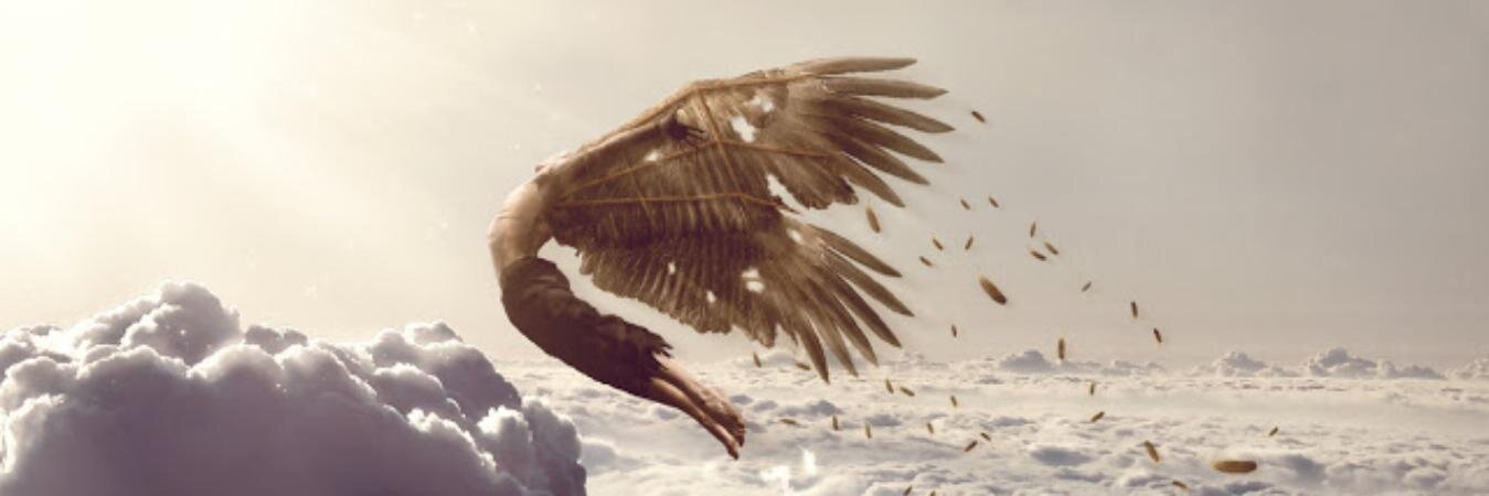 luccas_franc0's profile banner image