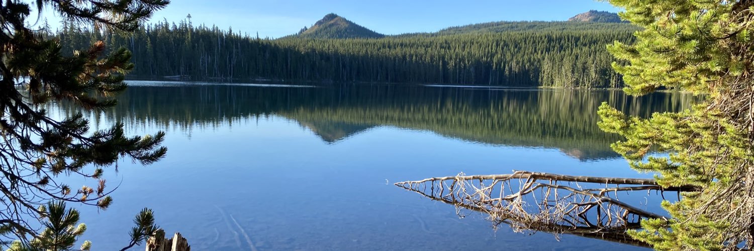 Mariam Guizani, PhD banner